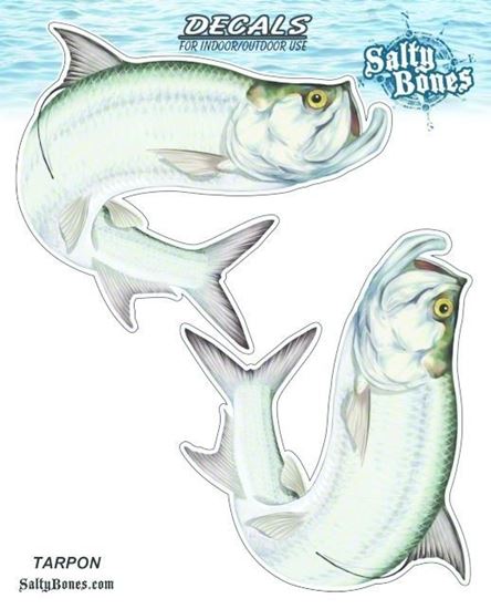 Picture of Salty Bones BSD2479 Decal, Double Tarpon