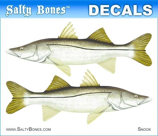 Picture of Salty Bones BPF2476M Decal, Mini-Snook