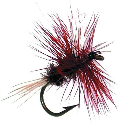 Picture of Jackson Cardinal 053-16 Dry Fly, #16, Royal Wulff