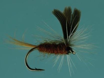 Picture of Jackson Cardinal 894-16 Dry Fly #16, Parachute Mahagony Dun