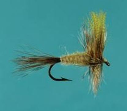 Picture of Jackson Cardinal 1303-14 Eastern Trout Dry Fly, #14, March Brown Traditional