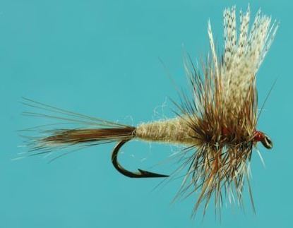 Picture of Jackson Cardinal 1308-10 Eastern Trout Dry Fly, #10, Grey Fox