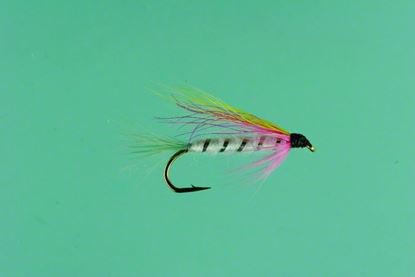 Picture of Jackson Cardinal 251-8 Streamer Fly, #8, Little Rainbow Trout