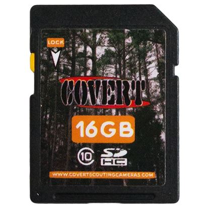 Picture of Covert SD Memory Card